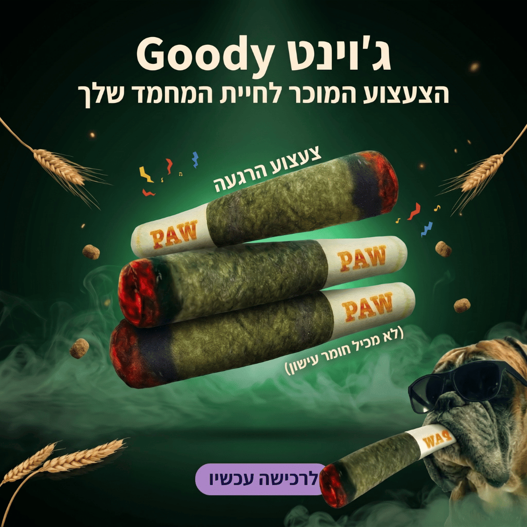 גודי® צעצוע ג'וינט
