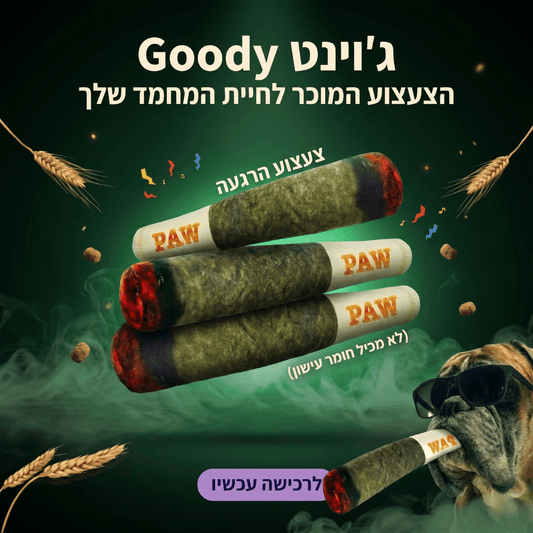 גודי® צעצוע ג'וינט